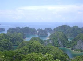 Rừng Quốc Gia Cát Bà