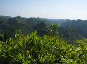 Rừng Quốc Gia Cát Bà
