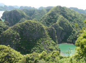 Rừng Quốc Gia Cát Bà