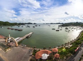 Trung tâm thị trấn Cát Bà