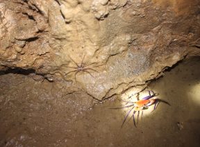 Hang động trên đảo Cát Bà