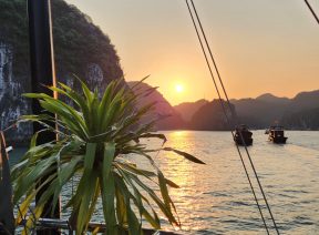 Khách nước ngoài trên Vịnh