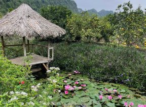 Khách nước ngoài trên Vịnh
