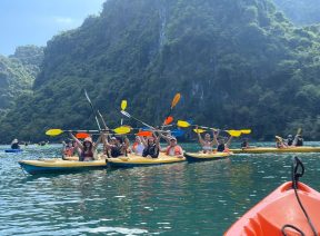 Khách nước ngoài trên Vịnh